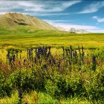 Altay Republic page was updated