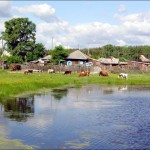 Kurgan oblast page was updated