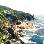 Primorye krai page was updated