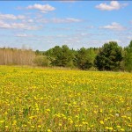 Sverdlovsk oblast page was updated