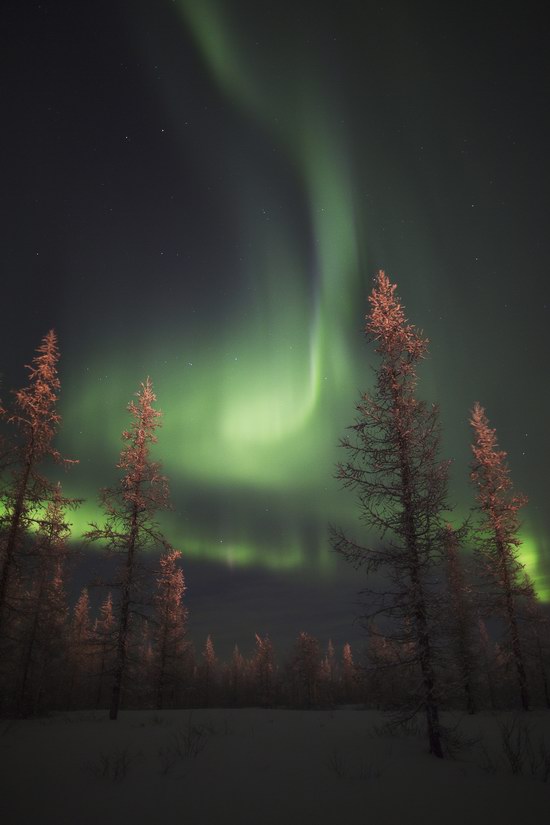 The Magic Of The Russian North Polar Lights Near Novy