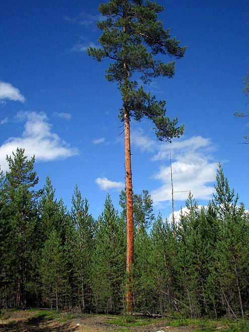 Buryatia Republic of Russia views 3rd photo