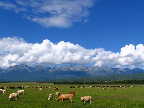 Buryatia Republic of Russia sceneries 5th photo
