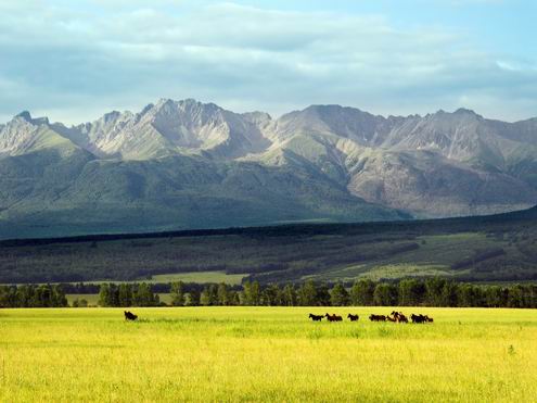Buryatia Republic of Russia beautiful nature 3rd photo