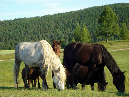 Buryatia Republic of Russia pictures 3rd photo