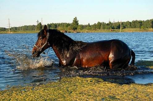 Chelyabinsk (Chelyabinskaya) region (oblast) of Russia sceneries 2nd photo