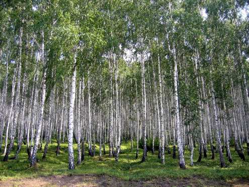 Chelyabinsk (Chelyabinskaya) region (oblast) of Russia views 3rd photo