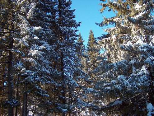 Chelyabinsk (Chelyabinskaya) region (oblast) of Russia views 2nd photo