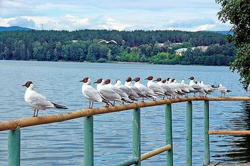 Chelyabinsk (Chelyabinskaya) region (oblast) of Russia sceneries 3rd photo