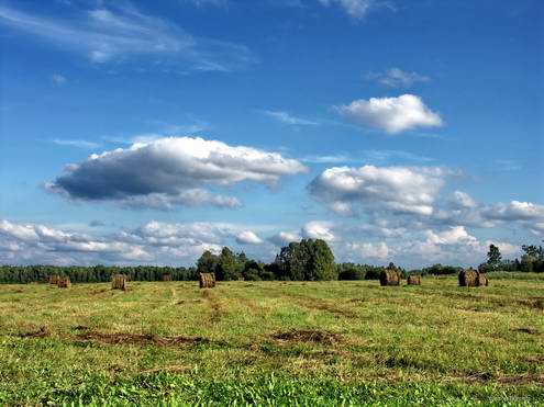 Kaluga oblast (region) of Russia landscapes 3rd photo