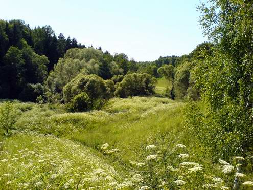 Kaluga oblast (region) of Russia sceneries 2nd photo