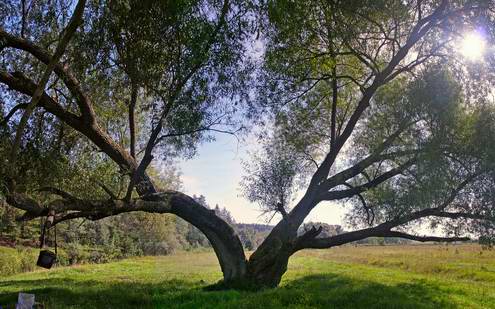 Kaluga oblast (region) of Russia sceneries 5th photo