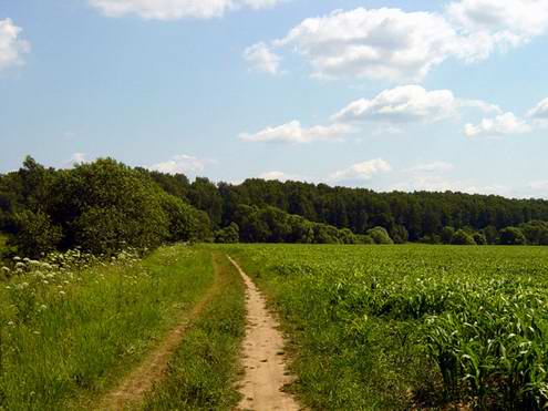 Kaluga oblast (region) of Russia landscapes 5th photo
