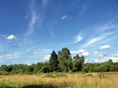 Kaluga oblast (region) of Russia landscapes 6th photo