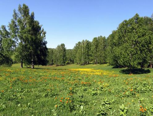 Kemerovo oblast (region) of Russia beautiful nature 7th photo