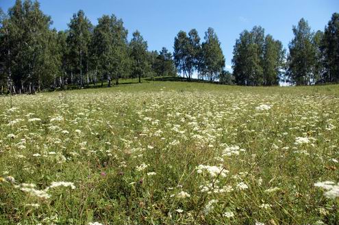 Kemerovo oblast (region) of Russia beautiful nature 8th photo