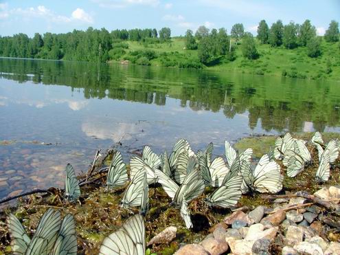 Kemerovo oblast (region) of Russia sceneries 6th photo