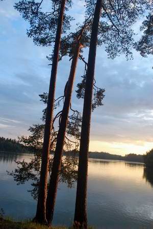 Nizhny Novgorod (Nizhniy Novgorod) Russia region (oblast) nature views 4th photo