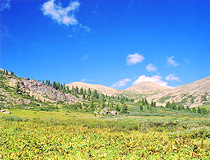 Altay region landscape