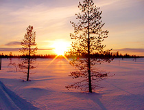 Winter in Arkhangelsk Oblast