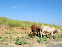 Astrakhan region scenery