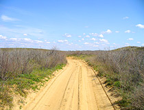 Steppe road in the Astrakhan region