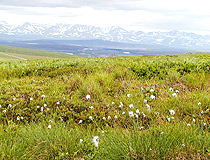 Chukotka landscape