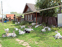 Village life in Chuvashia