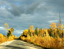 Road through autumn forest in Khanty-Mansi Autonomous Okrug