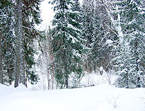 Snowy winter in the Komi Republic
