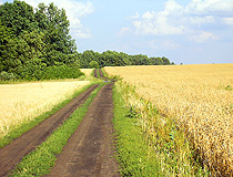 The road through the field in Lipetsk Oblast