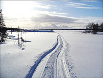 Winter in the Nenets Autonomous Okrug
