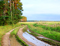 Country road in the Moscow region