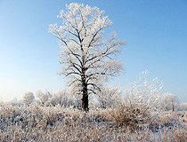 Winter in the Saratov region