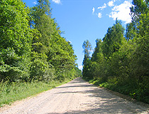 Forest road in the Tula region