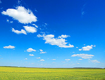 Endless field in Tyumen Oblast