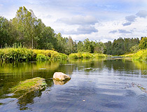 Tver Russia oblast nature