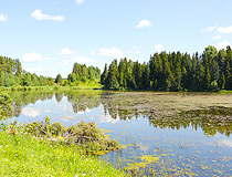 Pond in Udmurtia