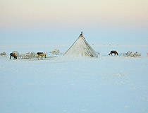 Winter in Yamalo-Nenets Okrug
