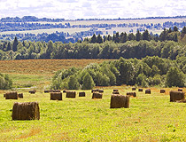 Haymaking time in the Yaroslavl region