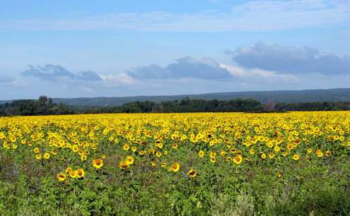 Samara oblast of Russia nature views 4th photo