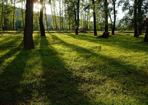 Samara oblast of Russia nature views 2nd photo