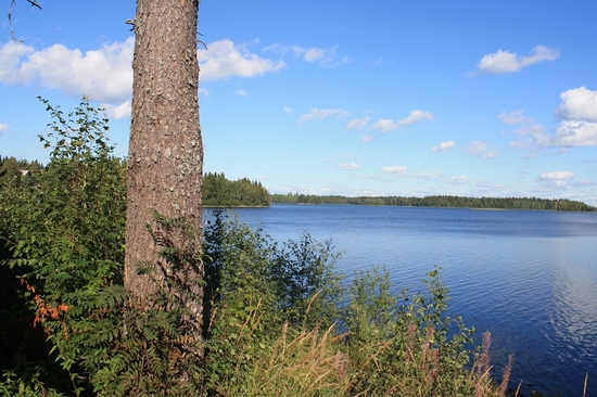 Vodlozersky national park, Russia view 8