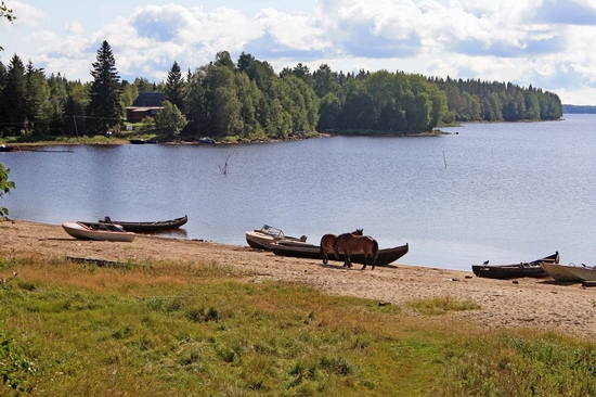 Vodlozersky national park, Russia view 9