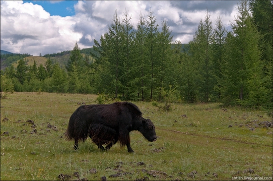 Sayany mountains, Buryatia, Russia trip view 15