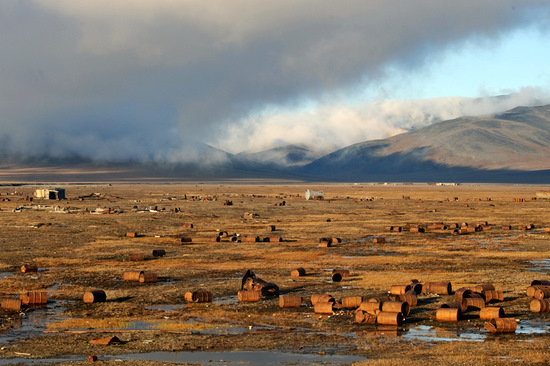 wrangel island