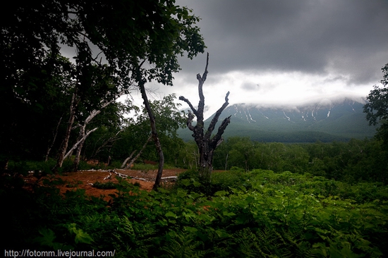 Natural park Nalychevo, Kamchatka peninsula, Russia view 14