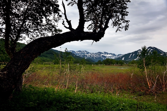 Natural park Nalychevo, Kamchatka peninsula, Russia view 5