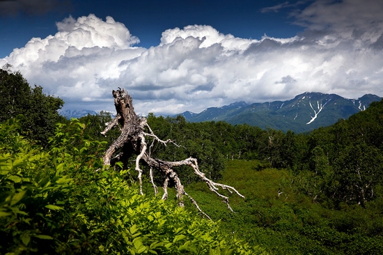 Natural park Nalychevo, Kamchatka peninsula, Russia view 6