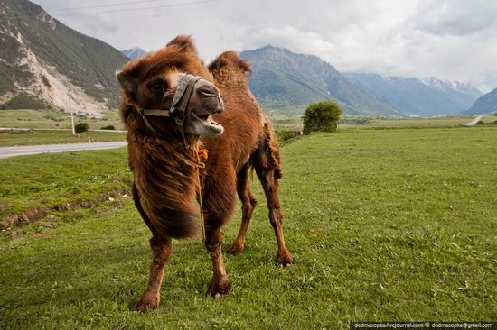 Picturesque view of the North Caucasus, Russia 8